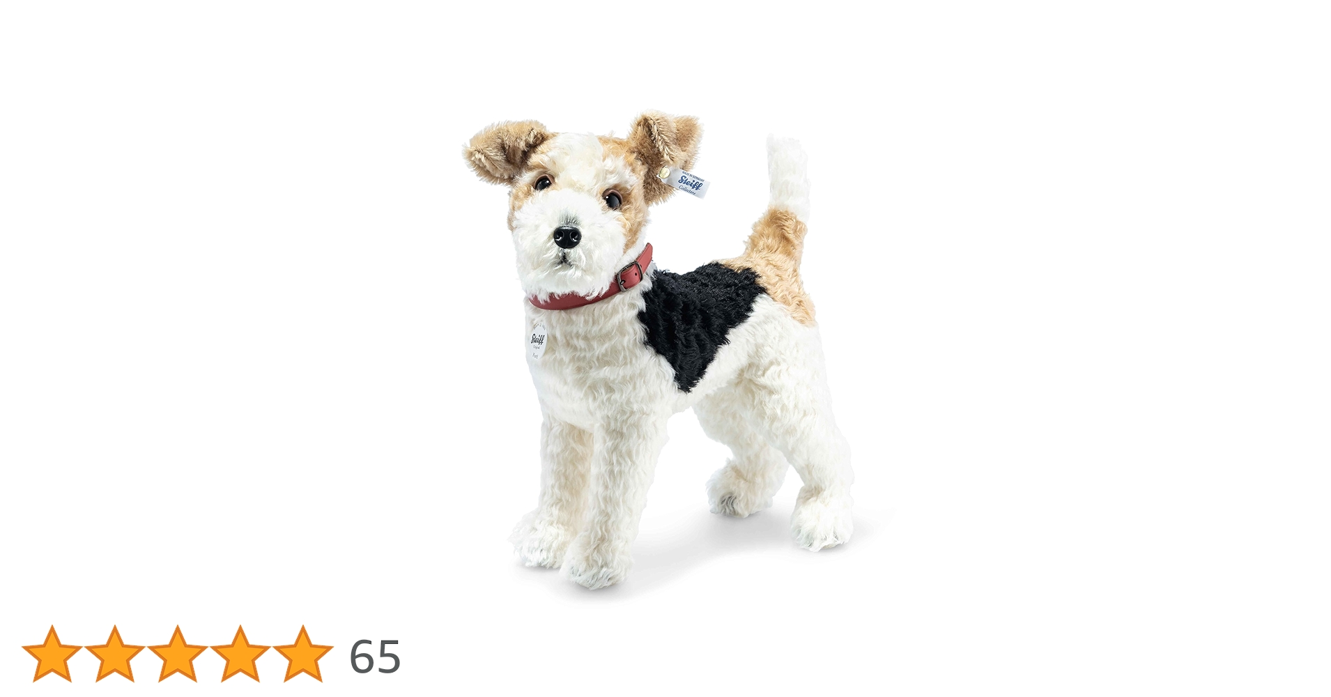 71Y+4Qu84HL.jpg_BO30,255,255,